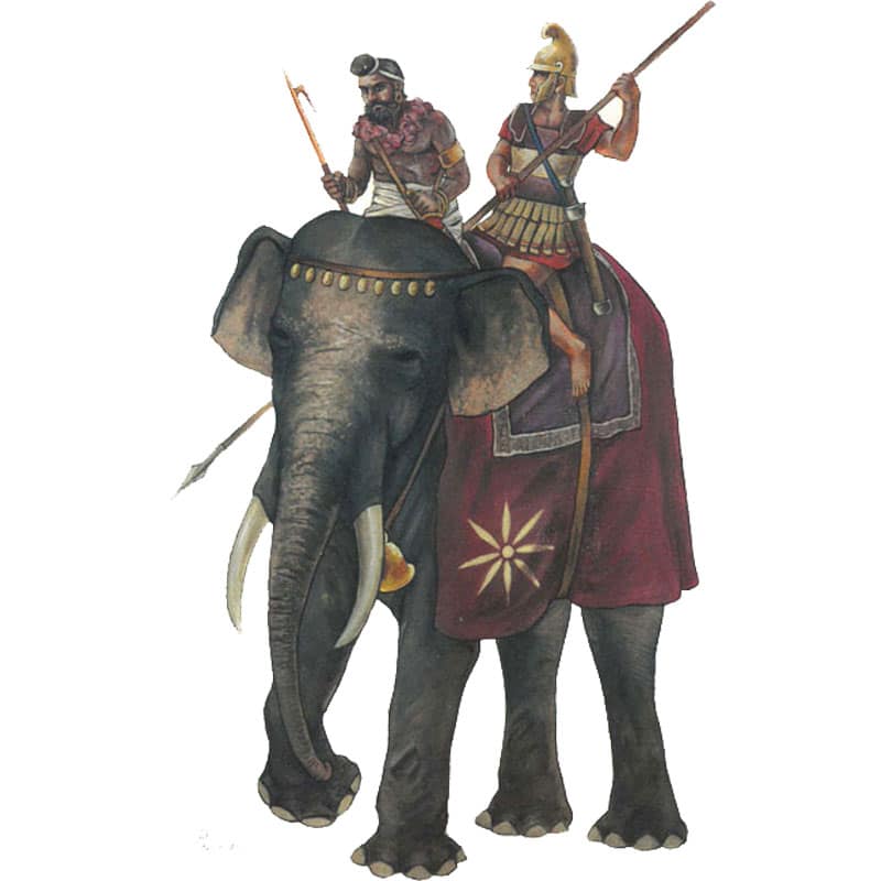 Hat Industrie Macedonian Elephant (1/72) 8141 Hat Industrie Macedonian Elephant (1/72) 8141
